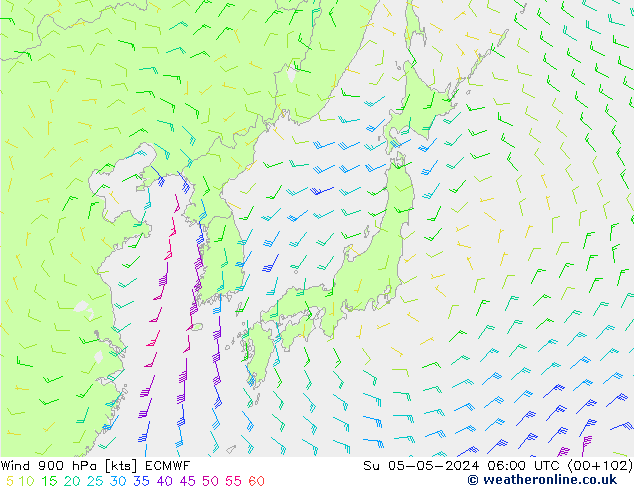 wiatr 900 hPa ECMWF nie. 05.05.2024 06 UTC