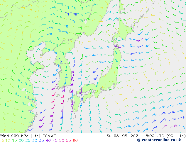 Wind 900 hPa ECMWF zo 05.05.2024 18 UTC