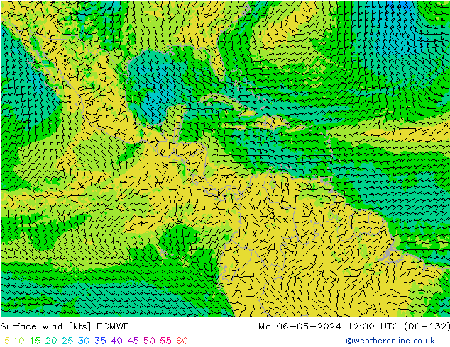 Vent 10 m ECMWF lun 06.05.2024 12 UTC