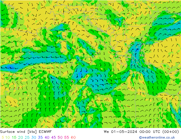  10 m ECMWF  01.05.2024 00 UTC