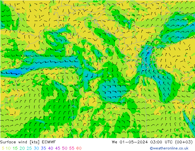 Surface wind ECMWF We 01.05.2024 03 UTC