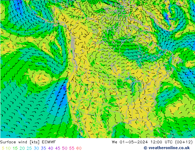 Bodenwind ECMWF Mi 01.05.2024 12 UTC