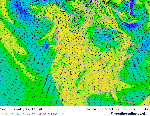 Surface wind ECMWF Sa 04.05.2024 12 UTC