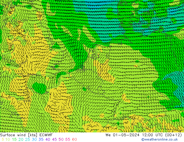 Surface wind ECMWF We 01.05.2024 12 UTC