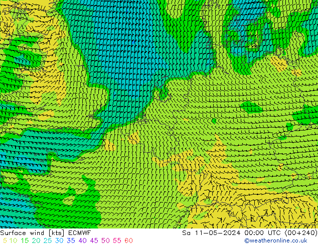 Surface wind ECMWF Sa 11.05.2024 00 UTC