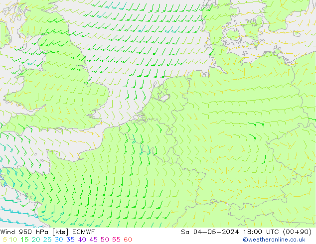 wiatr 950 hPa ECMWF so. 04.05.2024 18 UTC