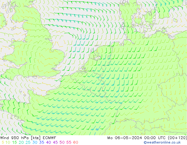 wiatr 950 hPa ECMWF pon. 06.05.2024 00 UTC