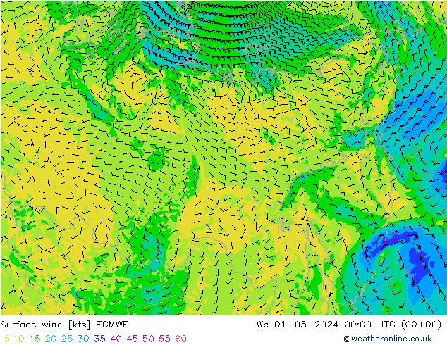 Surface wind ECMWF We 01.05.2024 00 UTC