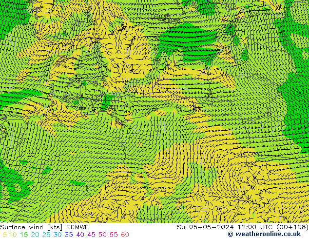 Surface wind ECMWF Su 05.05.2024 12 UTC