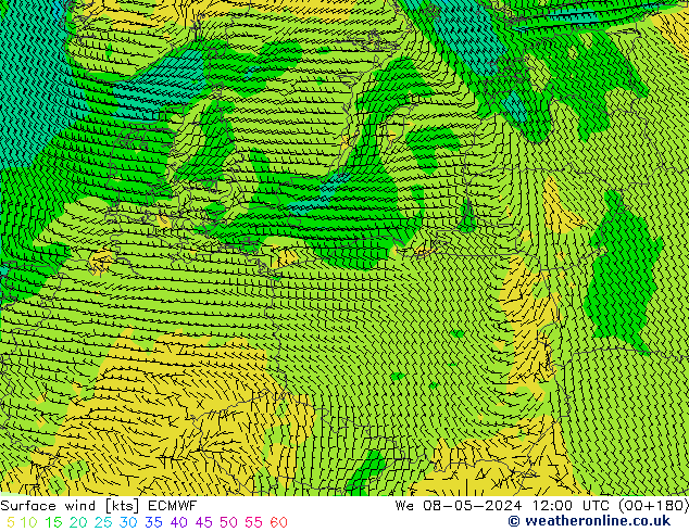 Bodenwind ECMWF Mi 08.05.2024 12 UTC