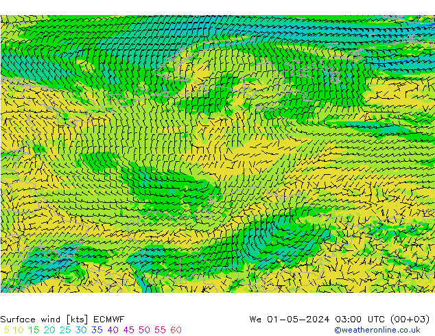 Surface wind ECMWF St 01.05.2024 03 UTC