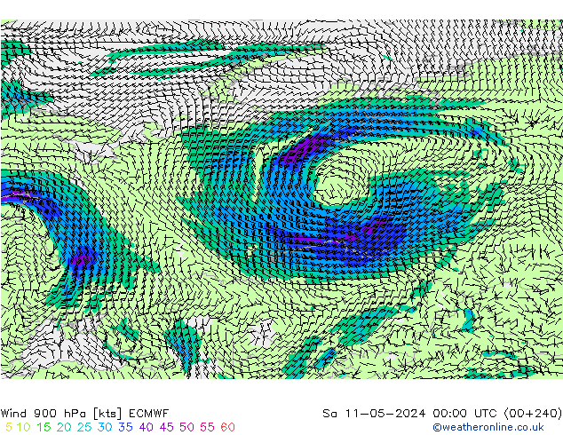  900 hPa ECMWF  11.05.2024 00 UTC