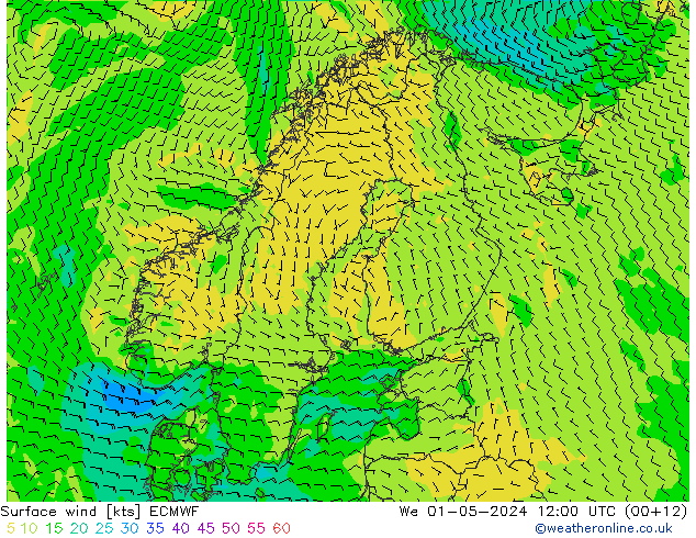 Surface wind ECMWF We 01.05.2024 12 UTC