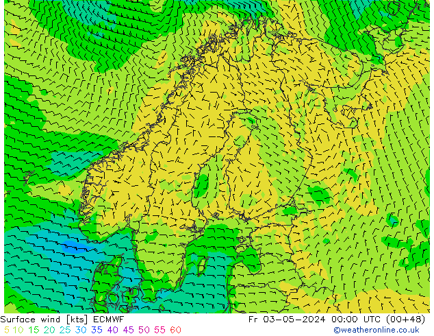 Viento 10 m ECMWF vie 03.05.2024 00 UTC