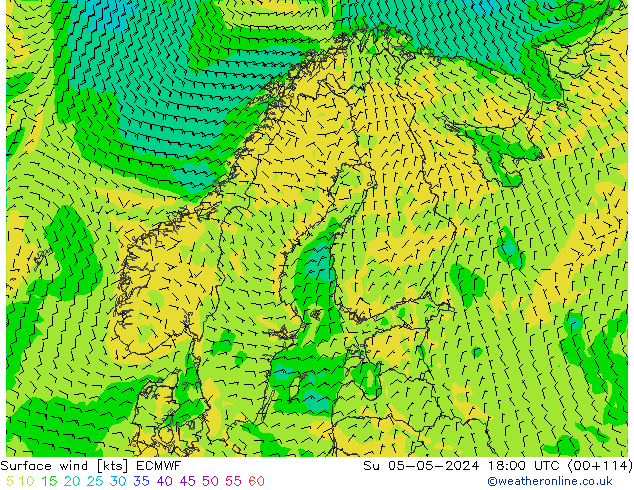 Rüzgar 10 m ECMWF Paz 05.05.2024 18 UTC