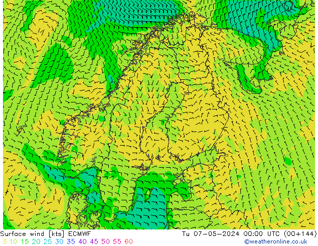 Wind 10 m ECMWF di 07.05.2024 00 UTC