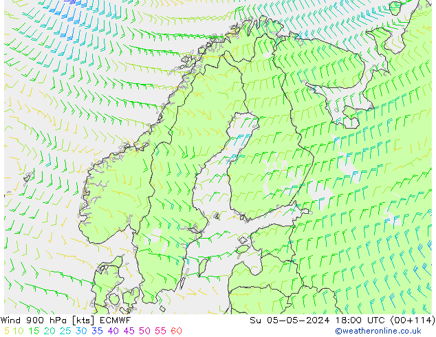 Rüzgar 900 hPa ECMWF Paz 05.05.2024 18 UTC