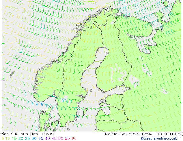 Rüzgar 900 hPa ECMWF Pzt 06.05.2024 12 UTC