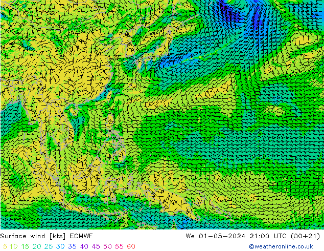 Bodenwind ECMWF Mi 01.05.2024 21 UTC