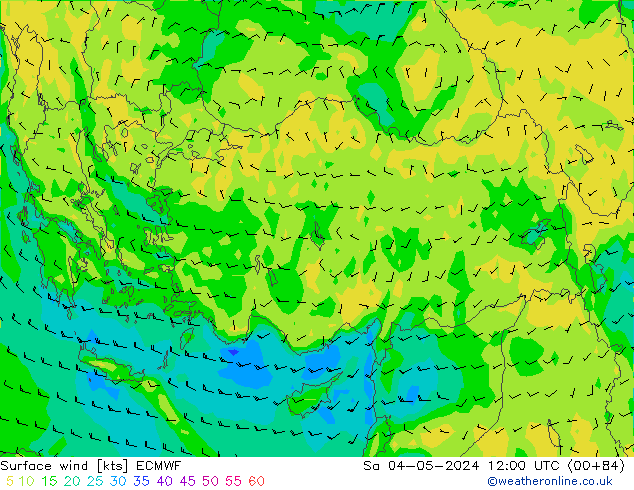 Surface wind ECMWF So 04.05.2024 12 UTC