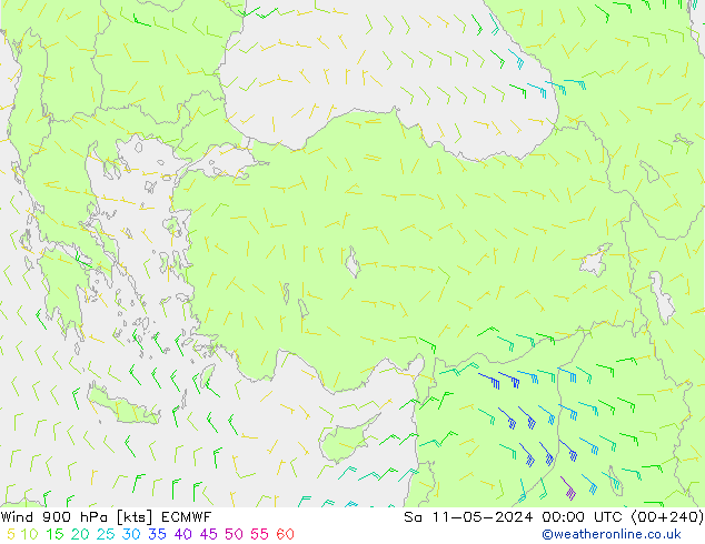 Wind 900 hPa ECMWF Sa 11.05.2024 00 UTC