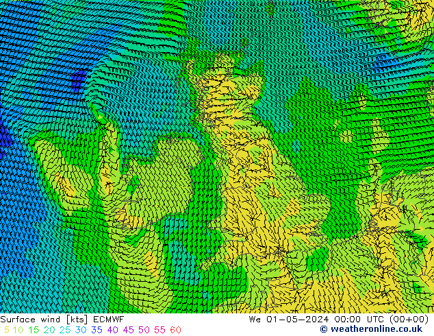 Bodenwind ECMWF Mi 01.05.2024 00 UTC