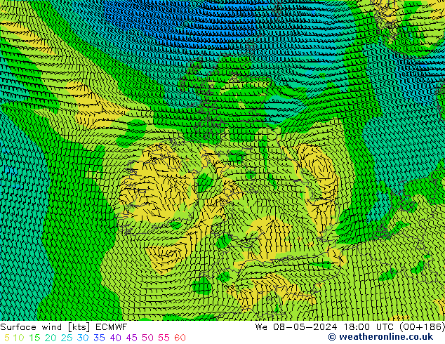 Surface wind ECMWF We 08.05.2024 18 UTC