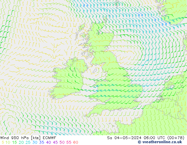 wiatr 950 hPa ECMWF so. 04.05.2024 06 UTC