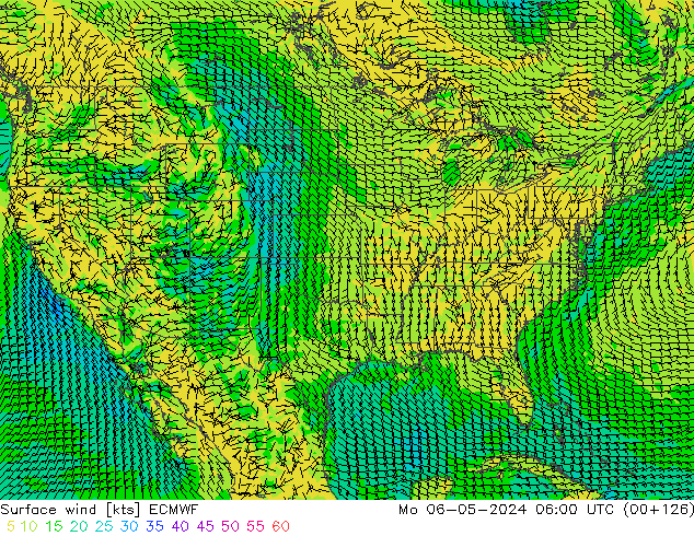 Vento 10 m ECMWF Seg 06.05.2024 06 UTC