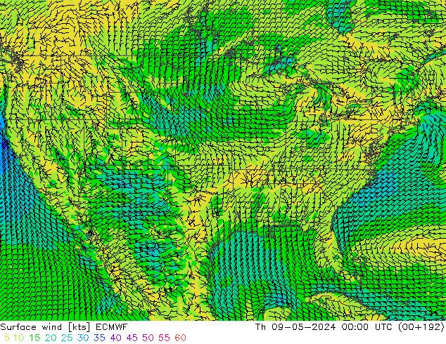 Wind 10 m ECMWF do 09.05.2024 00 UTC