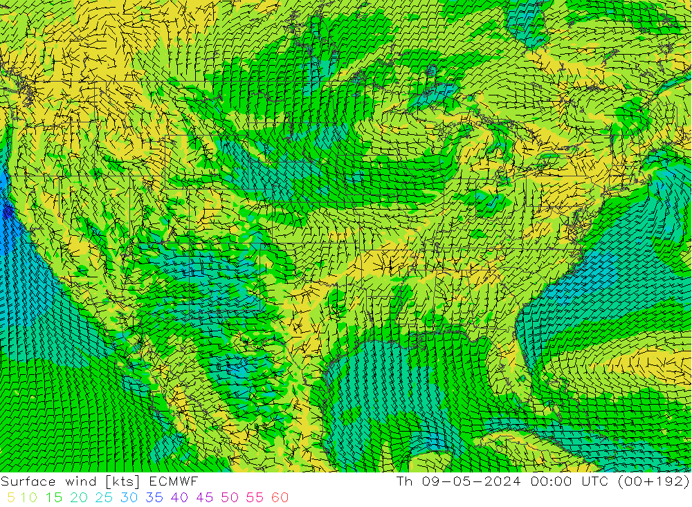 Surface wind ECMWF Th 09.05.2024 00 UTC