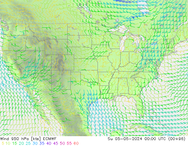 Rüzgar 950 hPa ECMWF Paz 05.05.2024 00 UTC