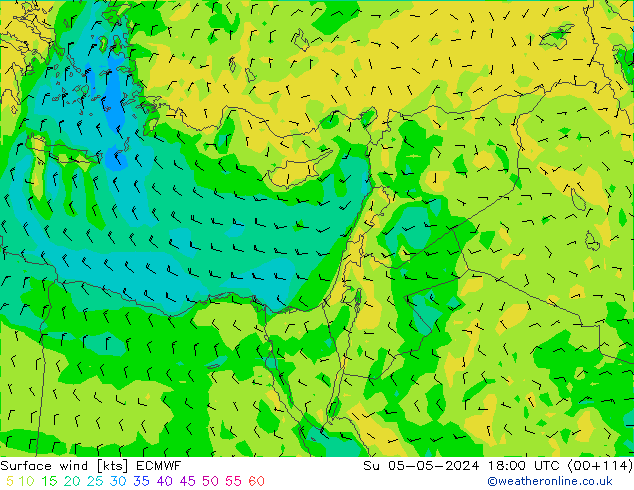 Surface wind ECMWF Su 05.05.2024 18 UTC