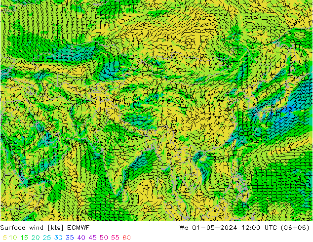 Surface wind ECMWF We 01.05.2024 12 UTC
