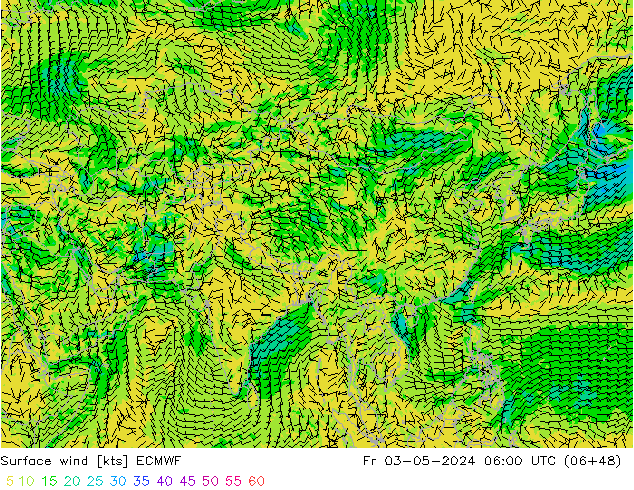 Surface wind ECMWF Fr 03.05.2024 06 UTC