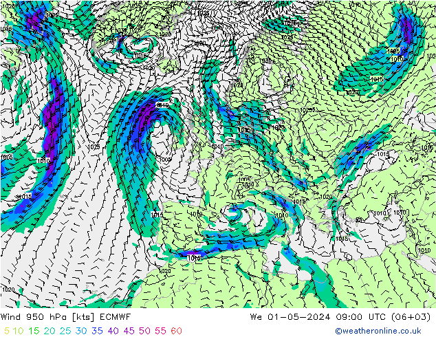 Wind 950 hPa ECMWF wo 01.05.2024 09 UTC