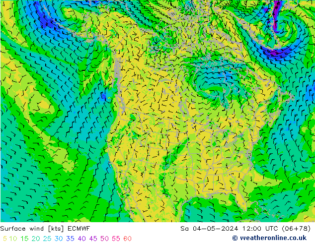 Surface wind ECMWF So 04.05.2024 12 UTC