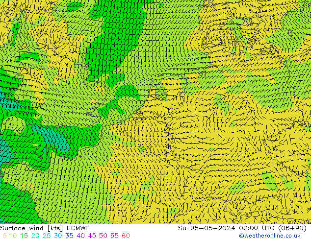 Bodenwind ECMWF So 05.05.2024 00 UTC