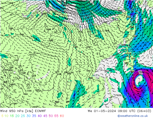 Rüzgar 950 hPa ECMWF Çar 01.05.2024 09 UTC