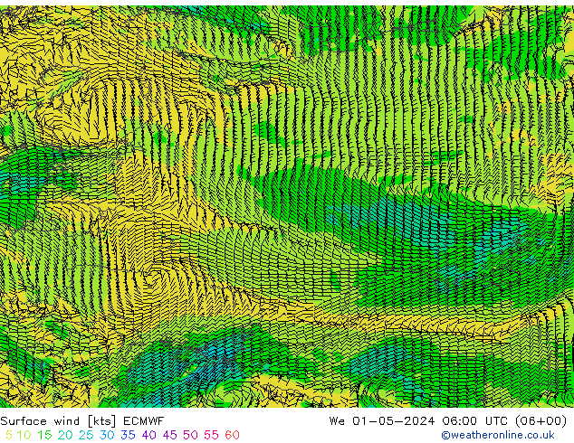 Surface wind ECMWF We 01.05.2024 06 UTC