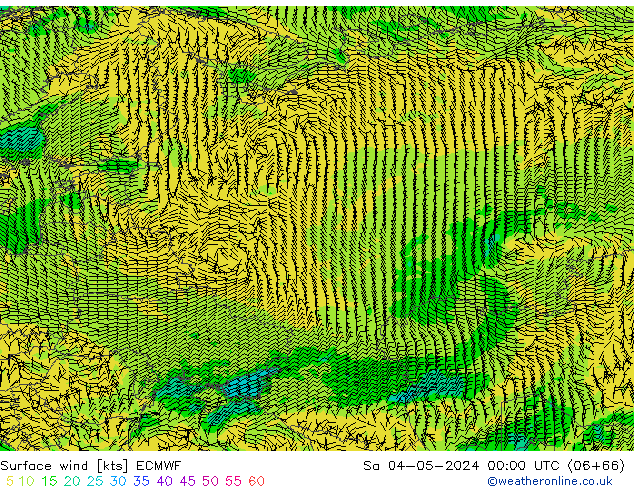 Surface wind ECMWF Sa 04.05.2024 00 UTC