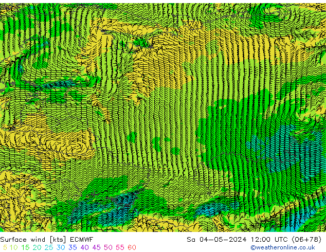 Surface wind ECMWF Sa 04.05.2024 12 UTC