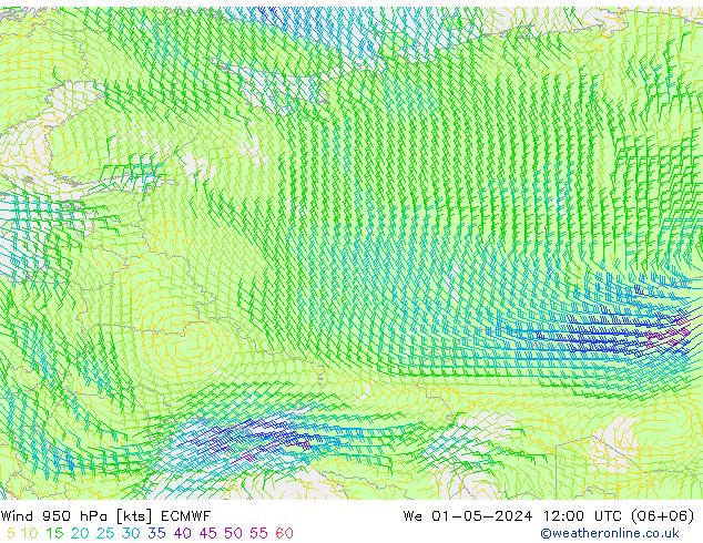 Rüzgar 950 hPa ECMWF Çar 01.05.2024 12 UTC