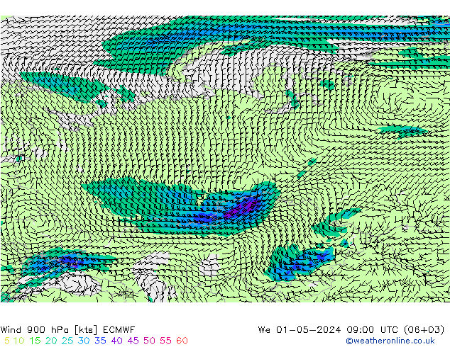 Wind 900 hPa ECMWF St 01.05.2024 09 UTC