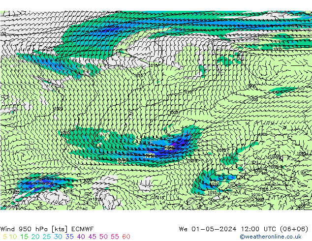 Wind 950 hPa ECMWF wo 01.05.2024 12 UTC