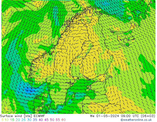 Bodenwind ECMWF Mi 01.05.2024 09 UTC