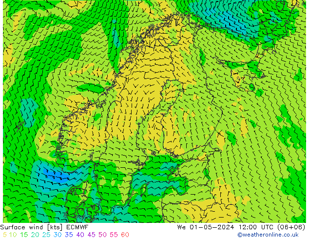 ветер 10 m ECMWF ср 01.05.2024 12 UTC