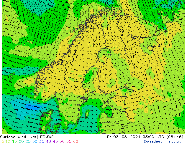 Rüzgar 10 m ECMWF Cu 03.05.2024 03 UTC