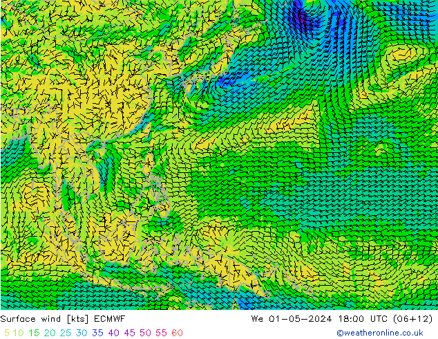 ветер 10 m ECMWF ср 01.05.2024 18 UTC