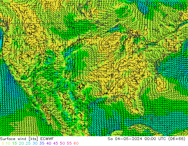 Surface wind ECMWF Sa 04.05.2024 00 UTC